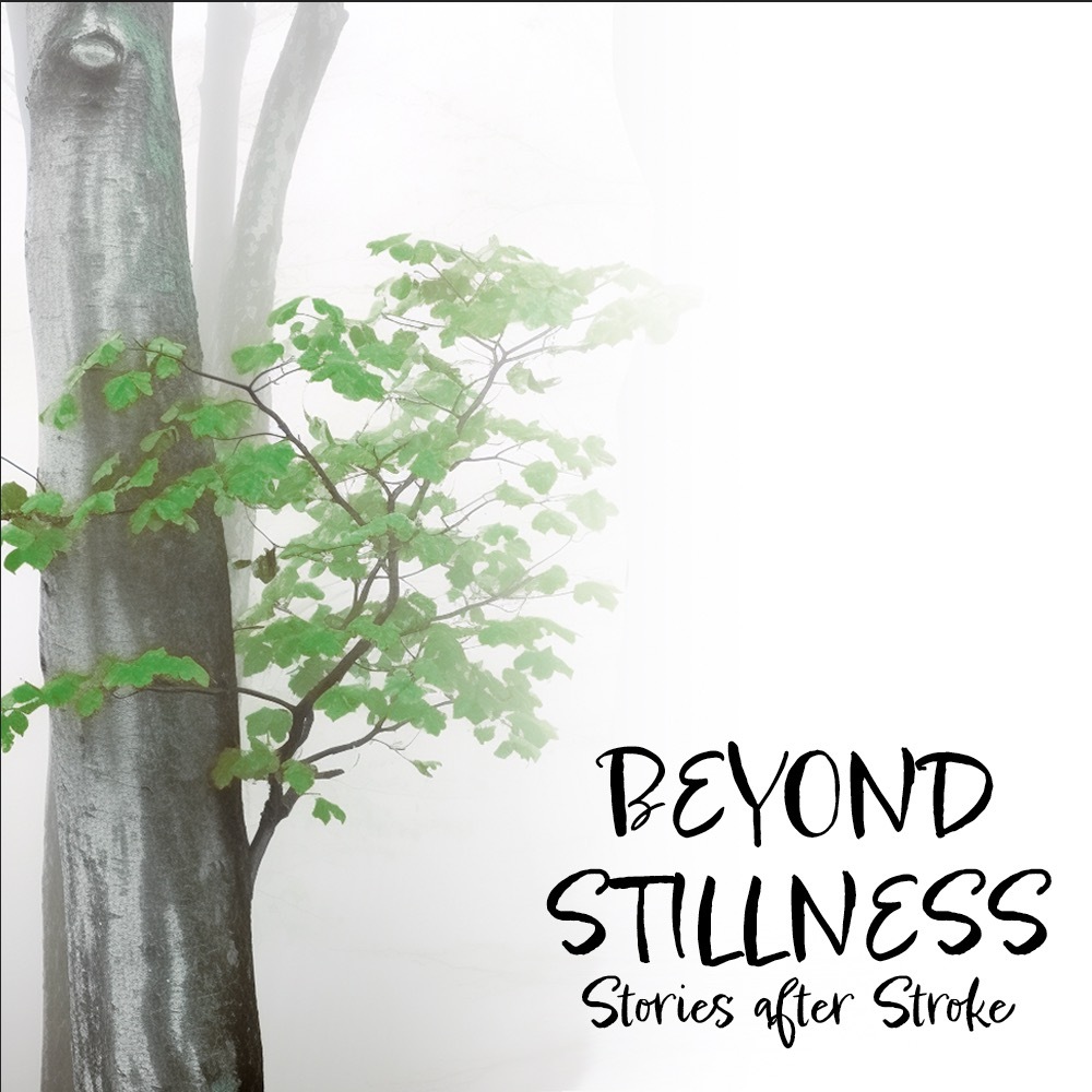 Illuminated Stories After Stroke Bay Area - logo